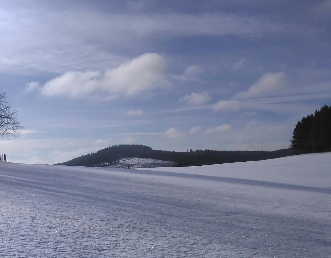 Appartement Maya Winterberg Zewnętrze zdjęcie