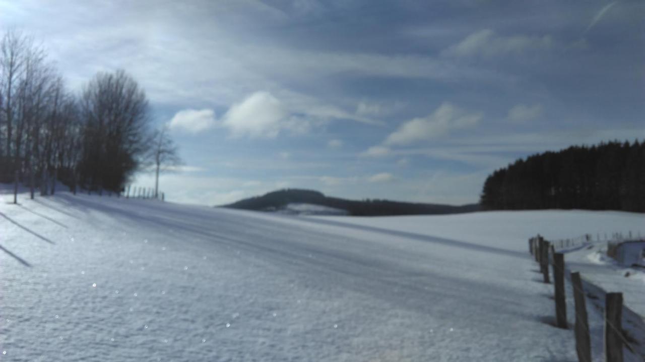 Appartement Maya Winterberg Zewnętrze zdjęcie